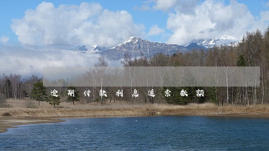 逾期付款利息追索数额 逾期付款利息追索数额