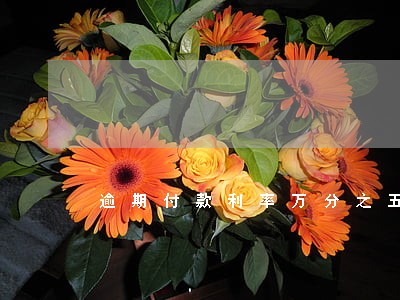 逾期付款利率万分之五 逾期付款利率万分之五