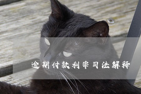 逾期付款利率司法解释 逾期付款利率司法解释