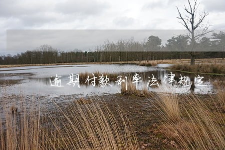 逾期付款利率法律规定 逾期付款利率法律规定