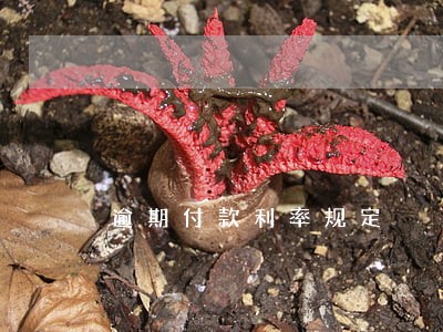 逾期付款利率规定 逾期付款利率规定