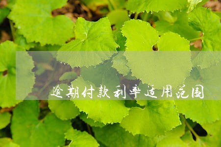 逾期付款利率适用范围 逾期付款利率适用范围