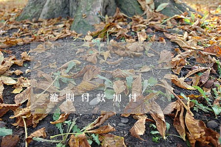逾期付款加付 逾期付款加付