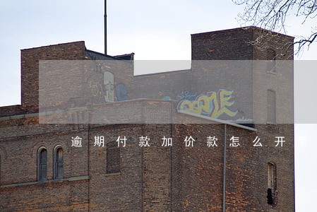 逾期付款加价款怎么开票 逾期付款加价款怎么开票
