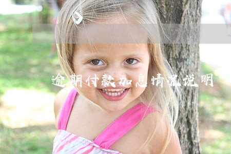 逾期付款加息情况说明 逾期付款加息情况说明