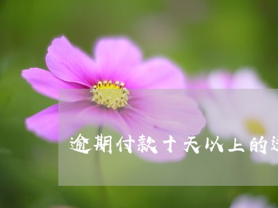 逾期付款十天以上的违约金 逾期付款十天以上的违约金