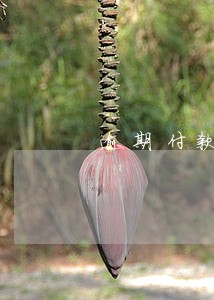 逾期付款千分之一 逾期付款千分之一