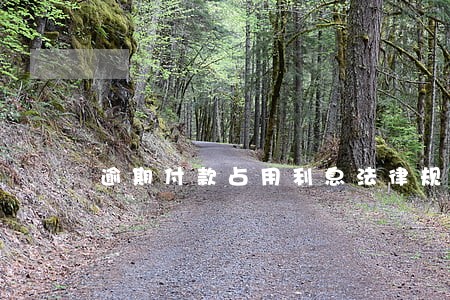 逾期付款占用利息法律规定 逾期付款占用利息法律规定