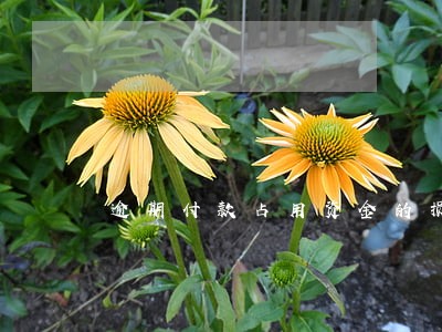 逾期付款占用资金的损失 逾期付款占用资金的损失