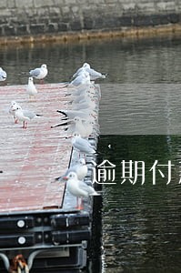 逾期付款卡里没钱怎么办 逾期付款卡里没钱怎么办