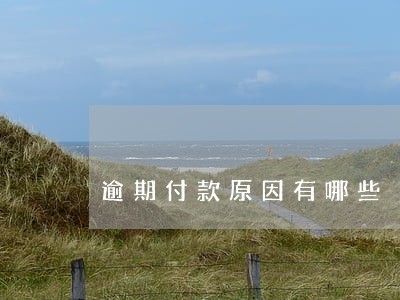 逾期付款原因有哪些 逾期付款原因有哪些