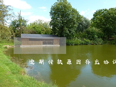 逾期付款原因补充协议 逾期付款原因补充协议