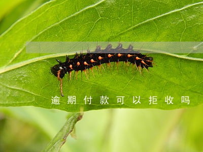 逾期付款可以拒收吗 逾期付款可以拒收吗
