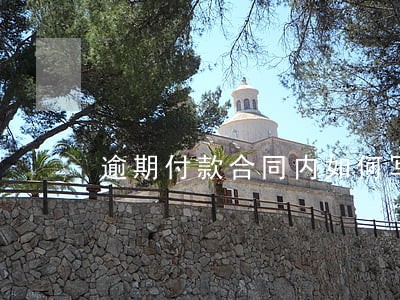 逾期付款合同内如何写