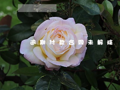 逾期付款合同未解除 逾期付款合同未解除