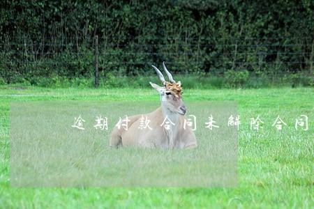 逾期付款合同未解除合同 逾期付款合同未解除合同