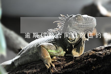 逾期付款合同款的违约责任 逾期付款合同款的违约责任