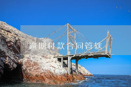 逾期付款合同管辖 逾期付款合同管辖