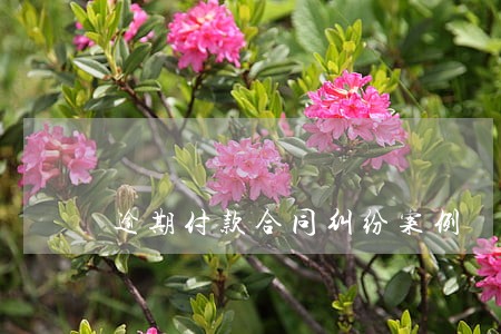 逾期付款合同纠纷案例 逾期付款合同纠纷案例