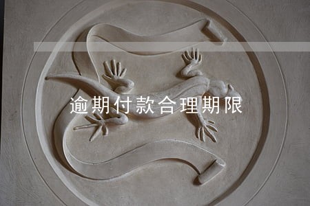逾期付款合理期限 逾期付款合理期限