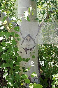 逾期付款后合同能否解除 逾期付款后合同能否解除