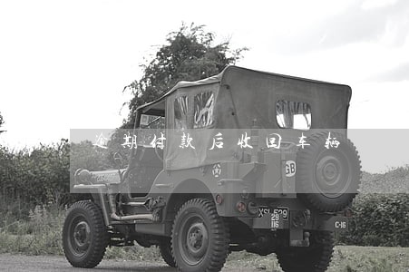 逾期付款后收回车辆 逾期付款后收回车辆