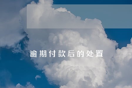 逾期付款后的处置 逾期付款后的处置