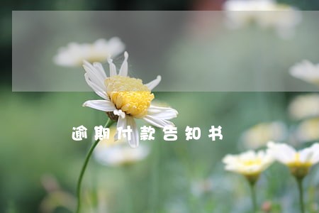 逾期付款告知书 逾期付款告知书