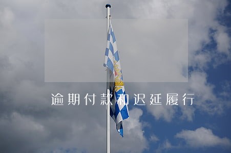 逾期付款和迟延履行
