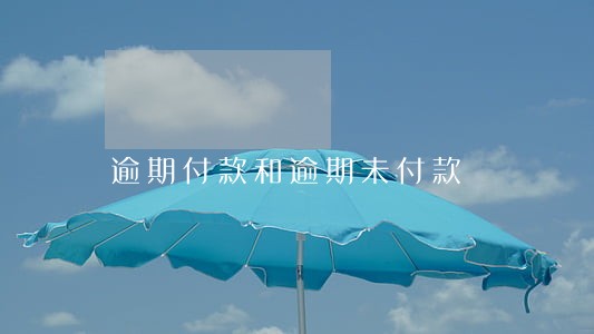逾期付款和逾期未付款 逾期付款和逾期未付款