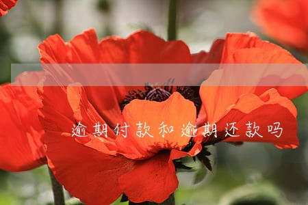 逾期付款和逾期还款吗 逾期付款和逾期还款吗