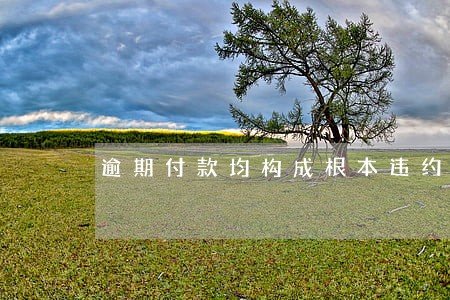 逾期付款均构成根本违约吗 逾期付款均构成根本违约吗