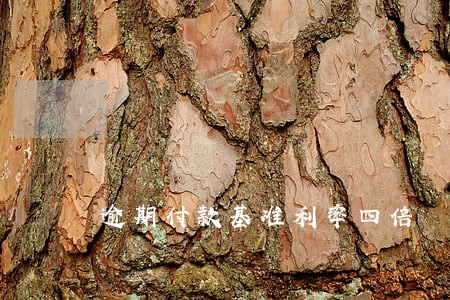 逾期付款基准利率四倍 逾期付款基准利率四倍