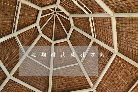 逾期付款处理方式 逾期付款处理方式