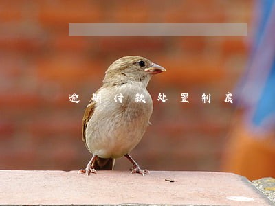 逾期付款处置制度 逾期付款处置制度