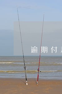 逾期付款外贸邮件 逾期付款外贸邮件