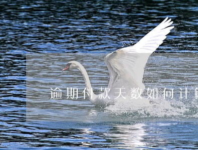 逾期付款天数如何计算公式 逾期付款天数如何计算公式