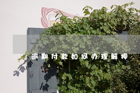 逾期付款如何办理解押 逾期付款如何办理解押