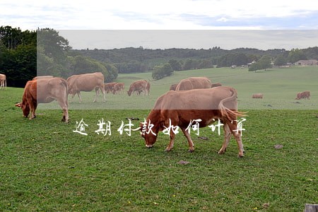 逾期付款如何计算 逾期付款如何计算