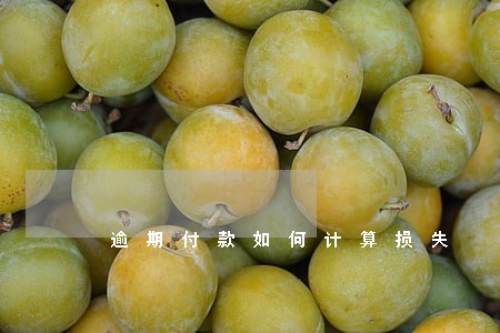 逾期付款如何计算损失 逾期付款如何计算损失