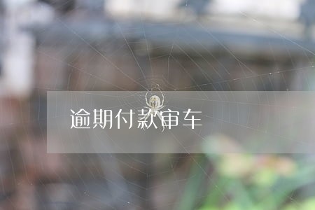 逾期付款审车 逾期付款审车