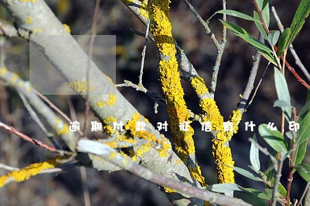 逾期付款对征信有什么印象 逾期付款对征信有什么印象
