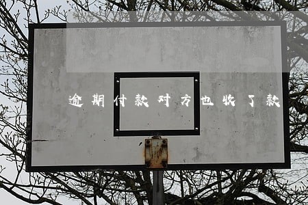 逾期付款对方也收了款 逾期付款对方也收了款