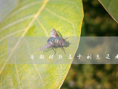 逾期付款属于利息还是违约金 逾期付款属于利息还是违约金