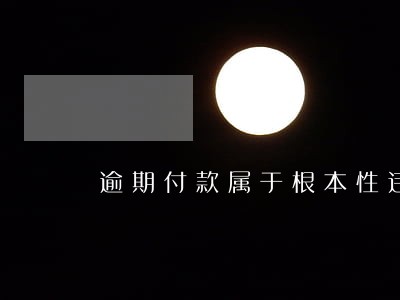 逾期付款属于根本性违约吗
