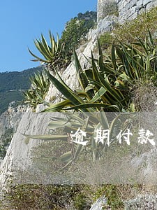 逾期付款应否支付利息规定 逾期付款应否支付利息规定
