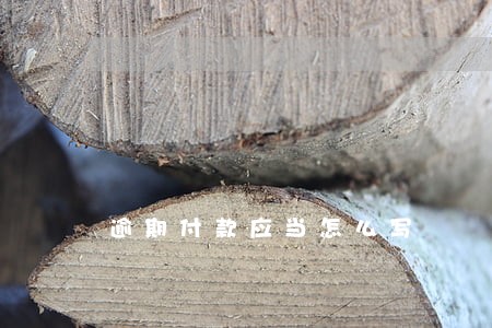 逾期付款应当怎么写 逾期付款应当怎么写