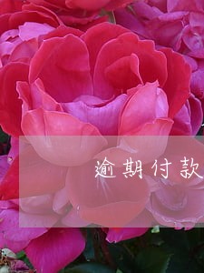 逾期付款应承担违约金还是利息 逾期付款应承担违约金还是利息