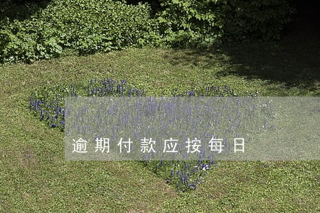 逾期付款应按每日 逾期付款应按每日