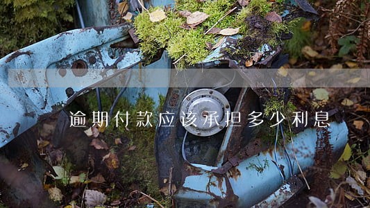 逾期付款应该承担多少利息 逾期付款应该承担多少利息